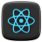 React JS Icon